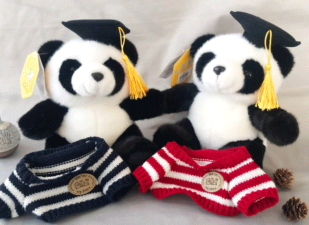 Doctor Panda Plush With Sweater Cap