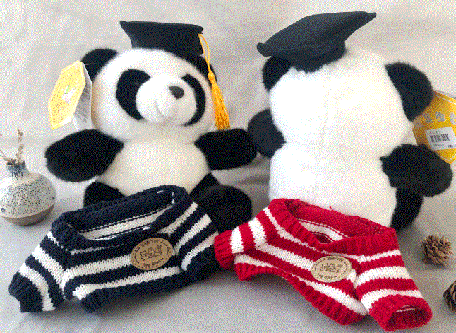 Doctor Panda Plush With Sweater Cap