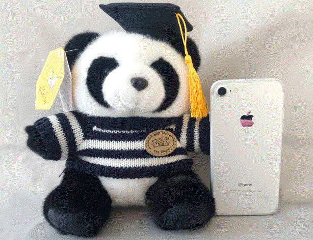 Doctor Panda Plush With Sweater Cap