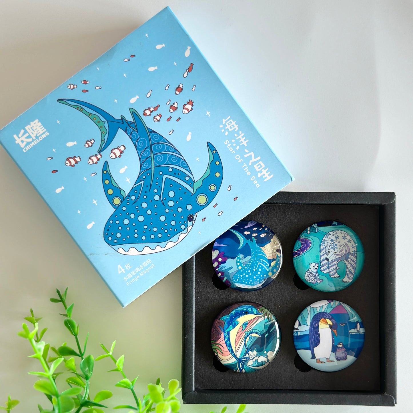 Land & Water Animal Fridge Magnets
