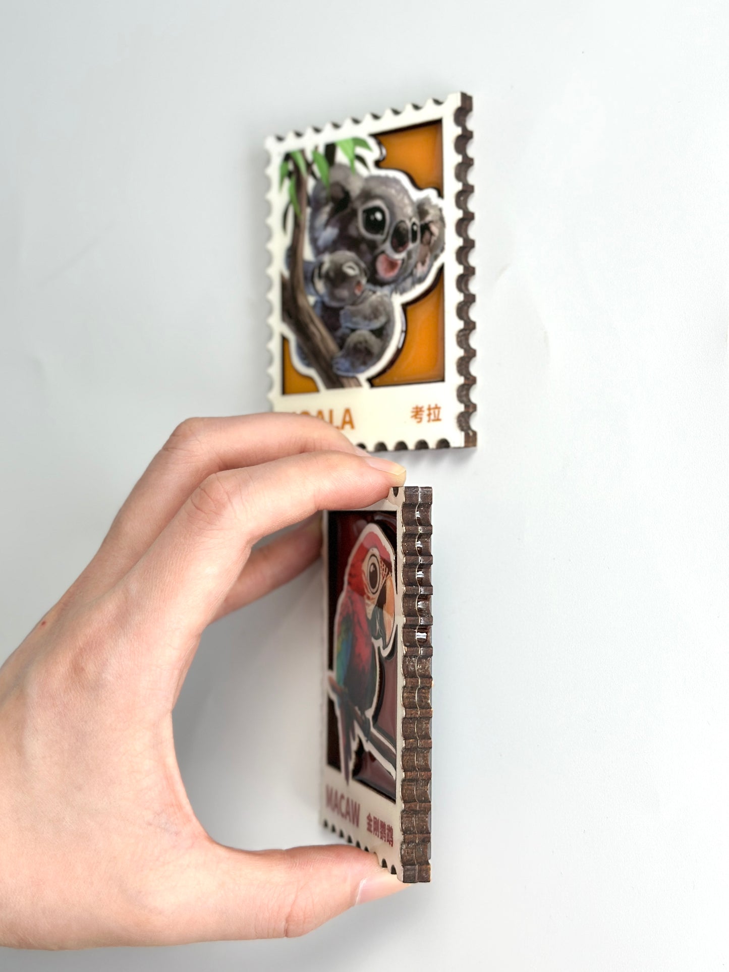 Macaw & Koala Wooden Magnet Gift Set